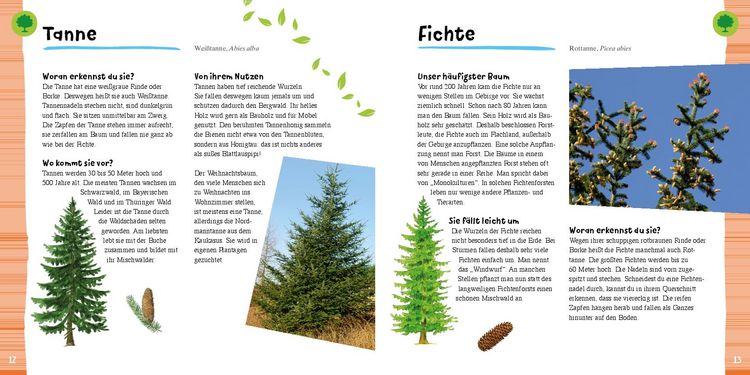 Produktbild: Tiere und Pflanzen entdecken mit 38 Vogelstimmen als QR-Codes: Naturf&uuml;hrer f&uuml;r Kinder ab 7 Jahren