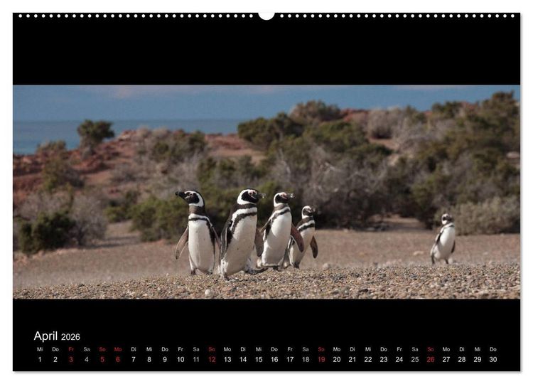 Produktbild: Patagonien - Ungez&auml;hmtes Land (hochwertiger Premium Wandkalender 2026 DIN A2 quer), Kunstdruck in Hochglanz