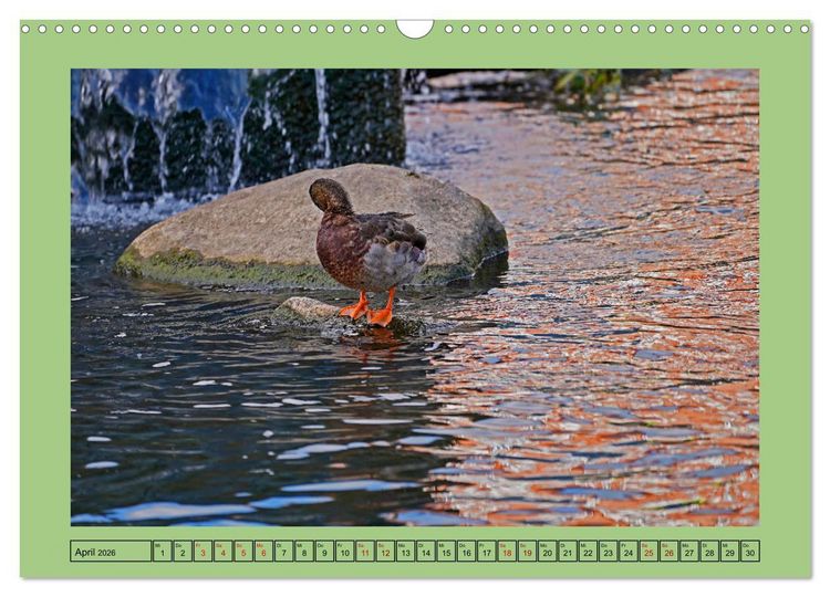 Produktbild: Faszination Stadtpark Odense (Wandkalender 2026 DIN A3 quer), CALVENDO Monatskalender