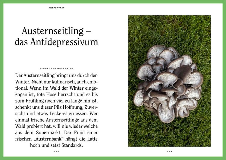 Produktbild: Mushroom Fever