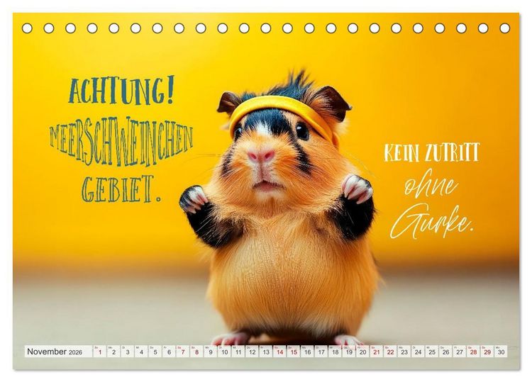 Produktbild: Meerschweinchen LUSTIG DURCHS JAHR (Tischkalender 2026 DIN A5 quer), CALVENDO Monatskalender