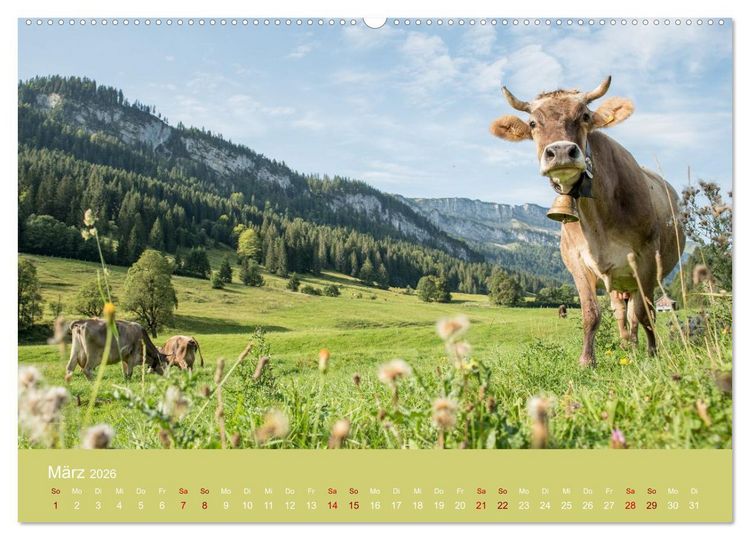Produktbild: Heimweh Allg&auml;u 2026 (hochwertiger Premium Wandkalender 2026 DIN A2 quer), Kunstdruck in Hochglanz