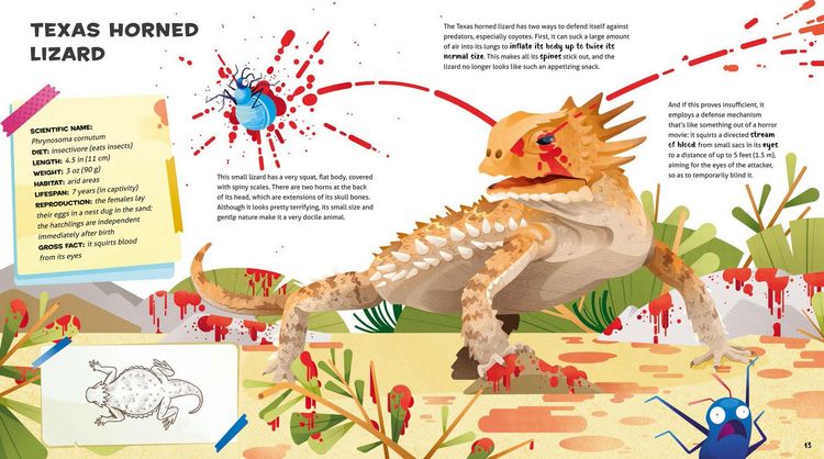 Produktbild: Weird and Wonderful Gross Animals