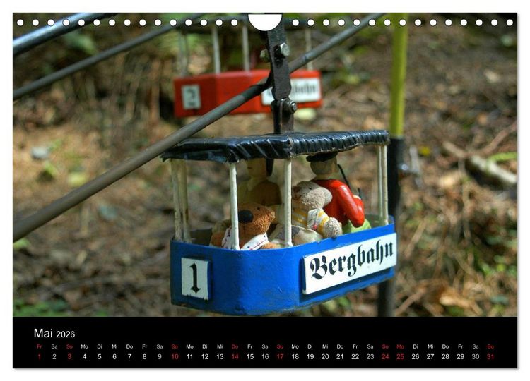 Produktbild: Der B&auml;rchenkalender 2026 (Wandkalender 2026 DIN A4 quer), CALVENDO Monatskalender