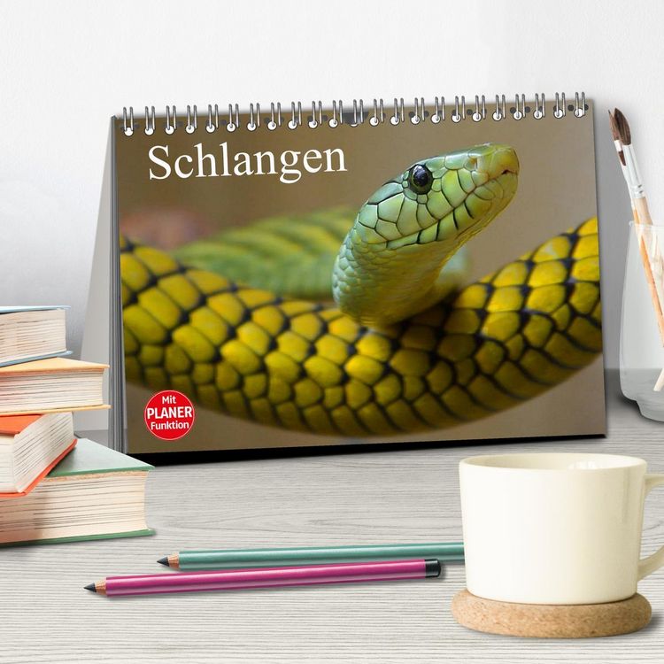 Produktbild: Schlangen (Tischkalender 2026 DIN A5 quer), CALVENDO Monatskalender