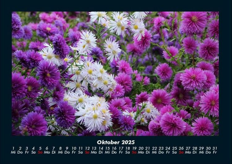 Produktbild: Blumenkalender 2025 Fotokalender DIN A4