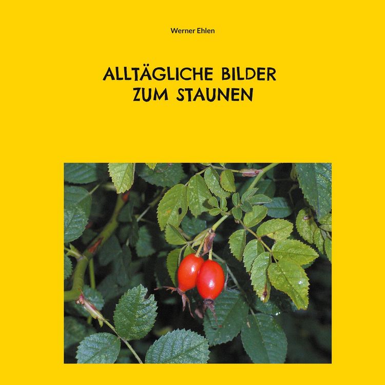 Produktbild: Allt&auml;gliche Bilder zum Staunen
