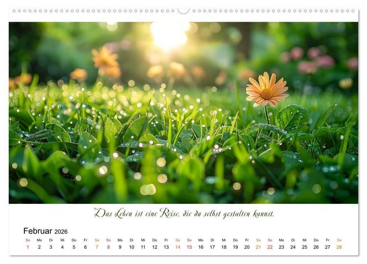 Produktbild: Freu Dich Motivations-Kalender (Wandkalender 2026 DIN A2 quer), CALVENDO Monatskalender