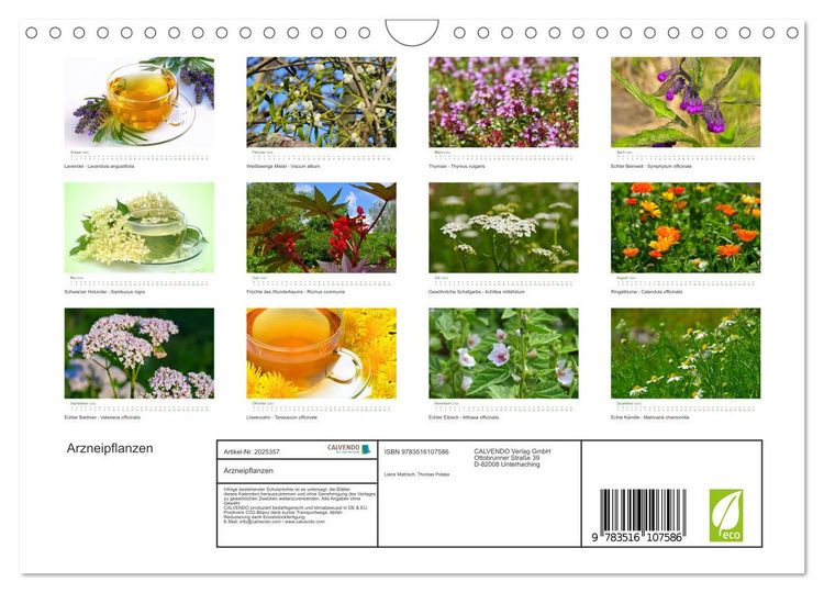 Produktbild: Arzneipflanzen (Wandkalender 2026 DIN A4 quer), CALVENDO Monatskalender