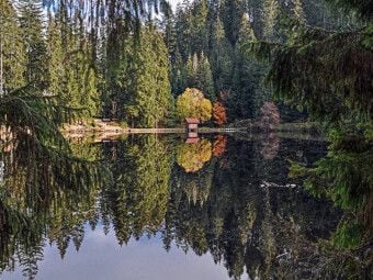 Produktbild: CALVENDO Puzzle Der Glaswaldsee bei Bad Peterstal | 1000 Teile Lege-Gr&ouml;&szlig;e 64x48cm Foto-Puzzle f&uuml;r gl&uuml;ckliche Stunden