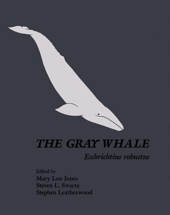 Produktbild: The Gray Whale: Eschrichtius Robustus