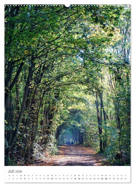 Produktbild: Wald - bezaubernde Landschaften (Wandkalender 2026 DIN A2 hoch), CALVENDO Monatskalender