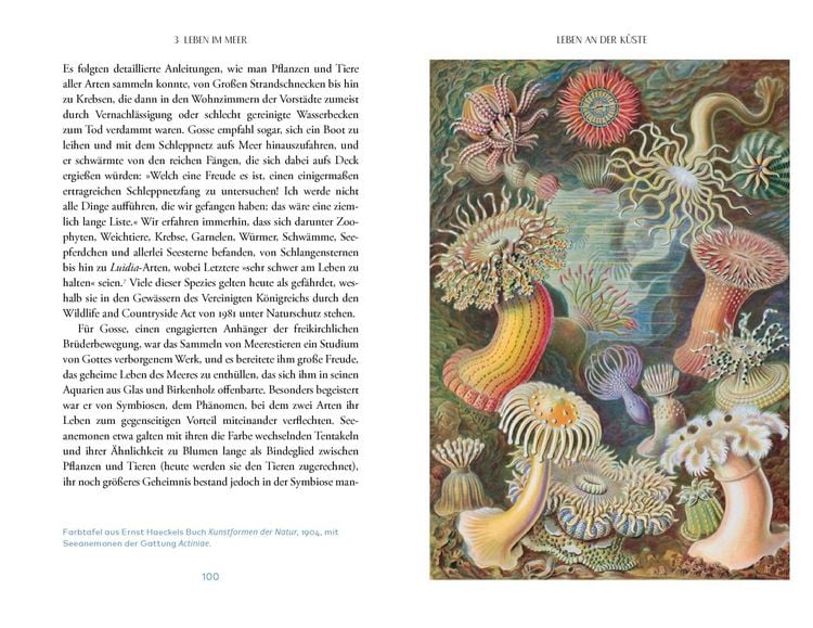 Produktbild: Das Meer