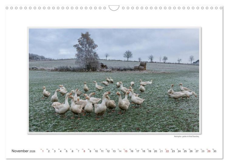 Produktbild: Emotionale Momente: Betzdorf - liebens- und lebenswerte Stadt an der Sieg. (Wandkalender 2026 DIN A3 quer), CALVENDO Monatskalender