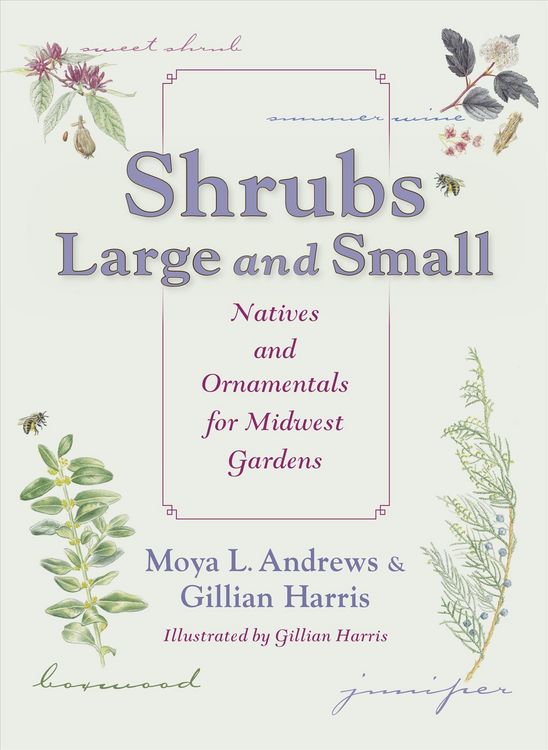 Produktbild: Shrubs Large and Small