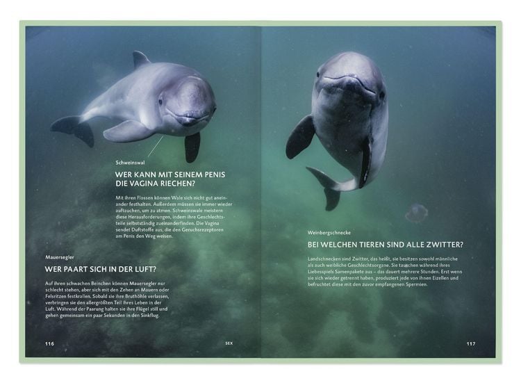 Produktbild: Die Botschaft der Wildtiere