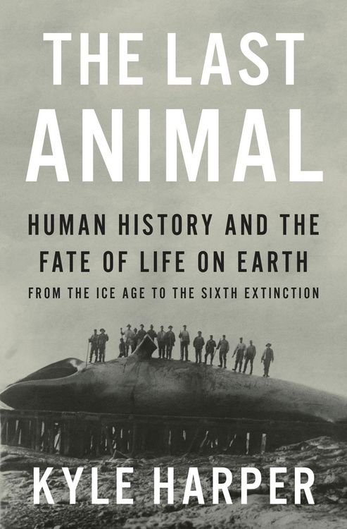 Produktbild: The Last Animal