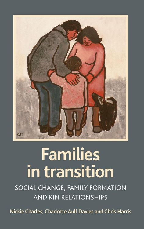Produktbild: Families in transition