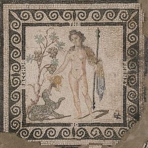 Produktbild: The Frenzy of Bacchus