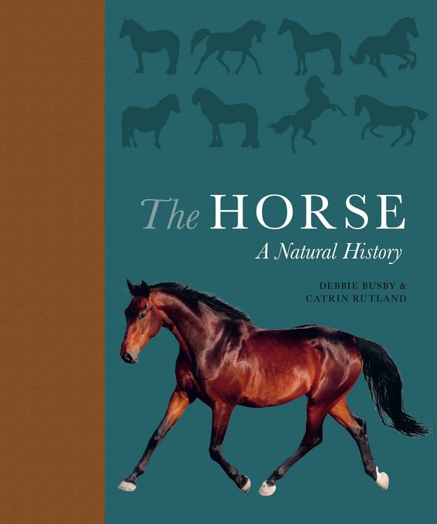 Produktbild: The Horse