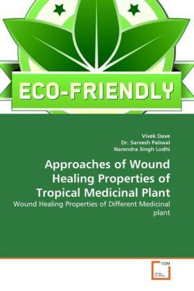 Produktbild: Dave, V: Approaches of Wound Healing Properties of Tropical