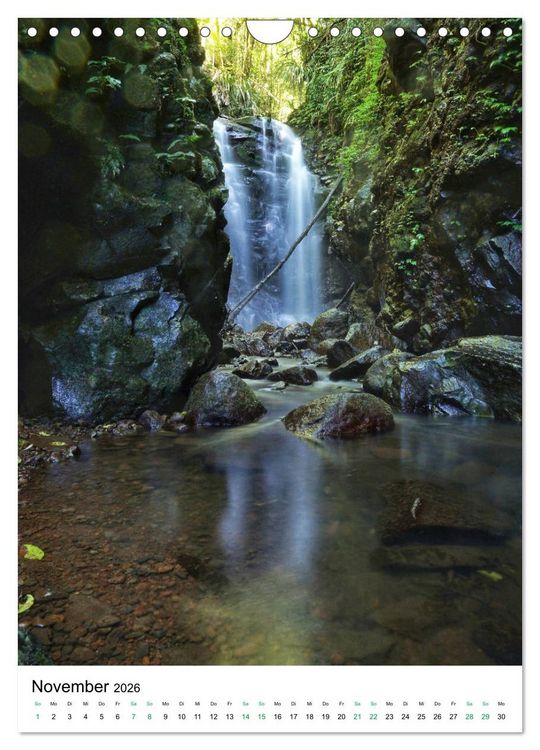 Produktbild: Regenwald - Australien (Wandkalender 2026 DIN A4 hoch), CALVENDO Monatskalender