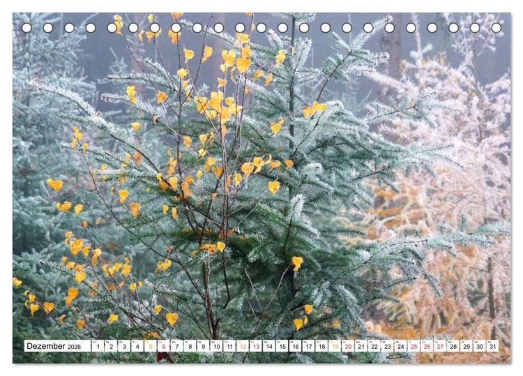 Produktbild: 12 Monate Natur (Tischkalender 2026 DIN A5 quer), CALVENDO Monatskalender