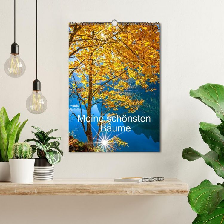 Produktbild: Meine sch&ouml;nsten B&auml;ume (Wandkalender 2027 DIN A3 hoch), CALVENDO Monatskalender