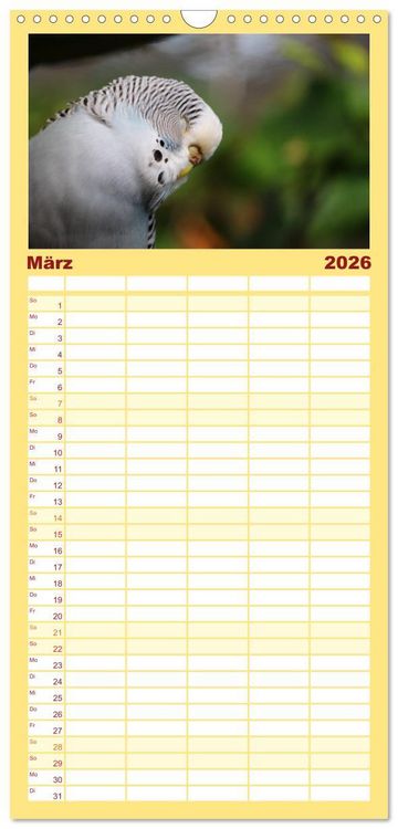 Produktbild: Familienplaner 2026 - Wellensittichkalender! - Das Original mit 5 Spalten (Wandkalender, 21 x 45 cm) CALVENDO