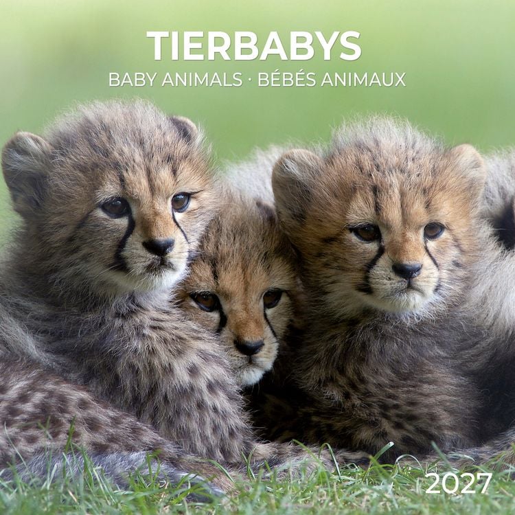 Produktbild: Tierbabys / Baby Animals 2027