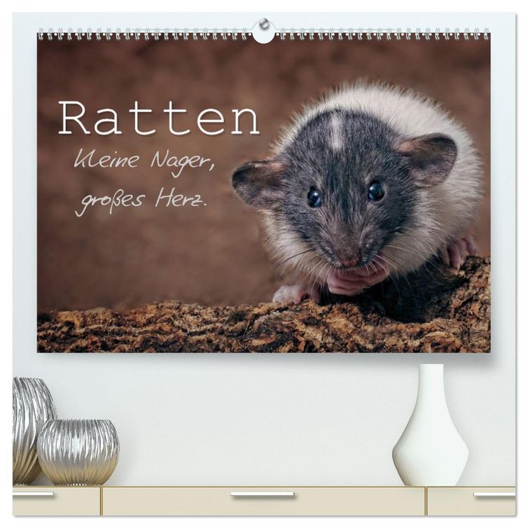 Produktbild: Ratten. Kleine Nager, gro&szlig;es Herz. (hochwertiger Premium Wandkalender 2026 DIN A2 quer), Kunstdruck in Hochglanz