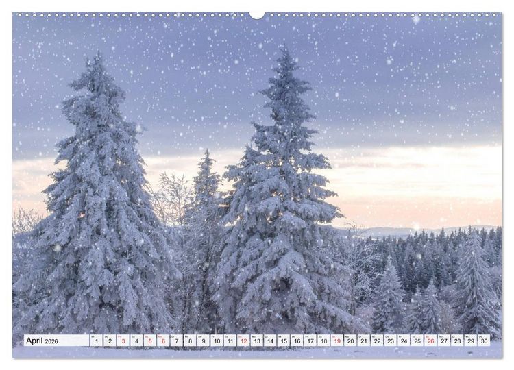 Produktbild: Eiszeit. Winter und Frost in der Natur (Wandkalender 2026 DIN A2 quer), CALVENDO Monatskalender