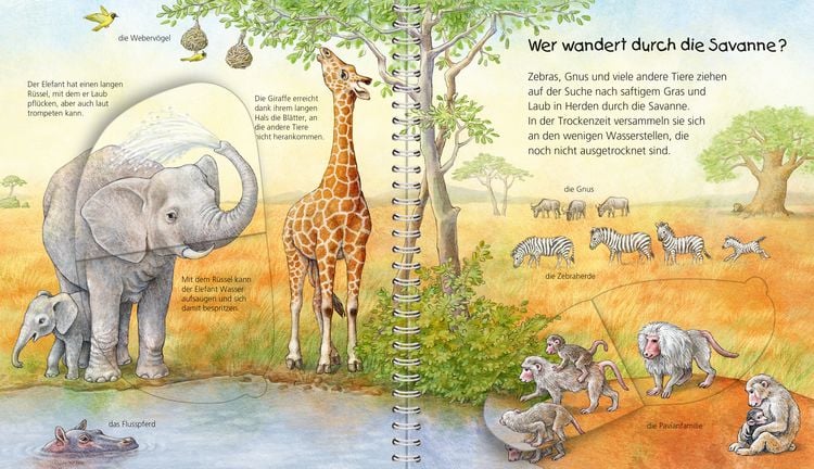 Produktbild: Wieso? Weshalb? Warum? Sonderband - Mein junior-Lexikon: Tiere