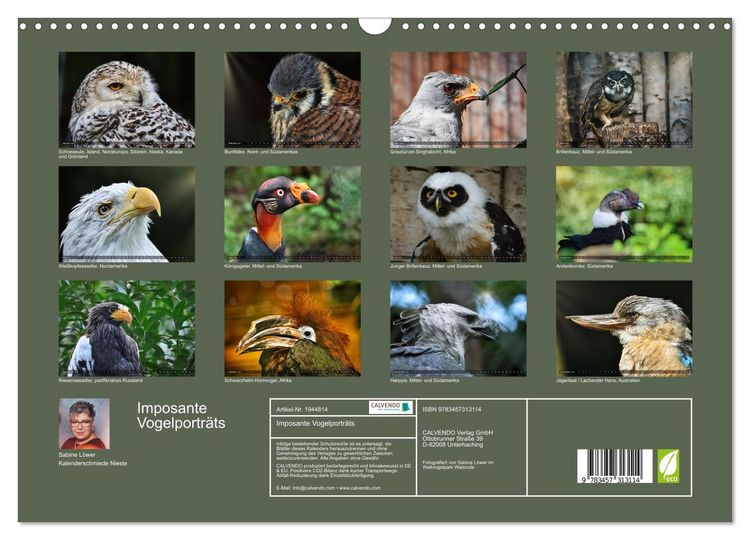 Produktbild: Imposante Vogelportr&auml;ts (Wandkalender 2026 DIN A3 quer), CALVENDO Monatskalender