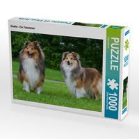 Produktbild: CALVENDO Puzzle Sheltie - Ein Traumpaar | 1000 Teile Lege-Gr&ouml;&szlig;e 64x48cm Foto-Puzzle f&uuml;r gl&uuml;ckliche Stunden