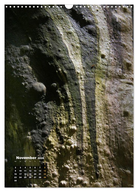 Produktbild: Zauberb&auml;ume (Wandkalender 2026 DIN A3 hoch), CALVENDO Monatskalender