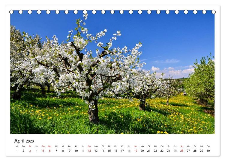 Produktbild: Bad Soden am Taunus (Tischkalender 2026 DIN A5 quer), CALVENDO Monatskalender