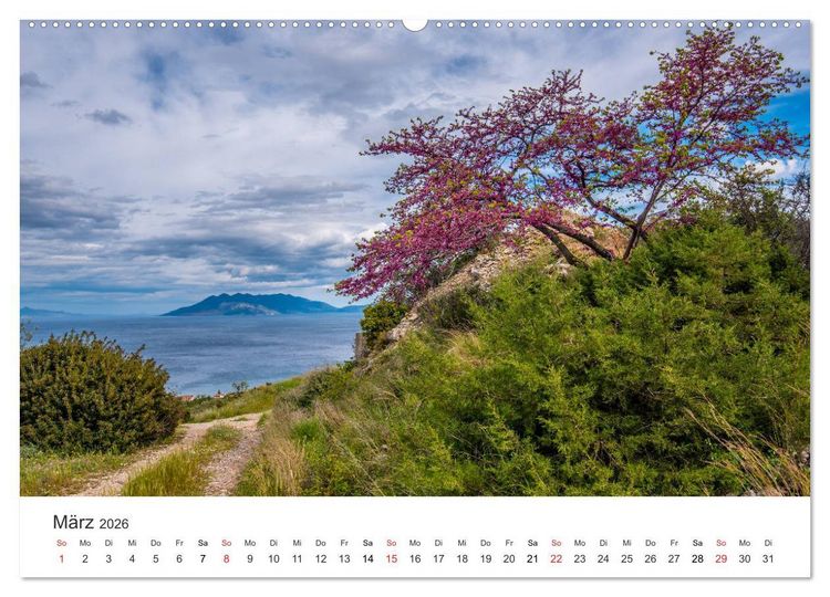 Produktbild: Vulkane 2026 (Wandkalender 2026 DIN A2 quer), CALVENDO Monatskalender