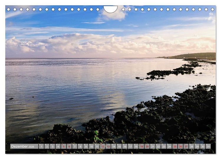 Produktbild: Vlieland Perle an der Nordsee (Wandkalender 2026 DIN A4 quer), CALVENDO Monatskalender