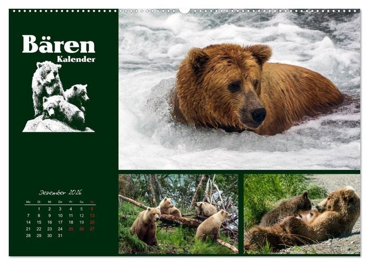 Produktbild: B&auml;renkalender (hochwertiger Premium Wandkalender 2026 DIN A2 quer), Kunstdruck in Hochglanz
