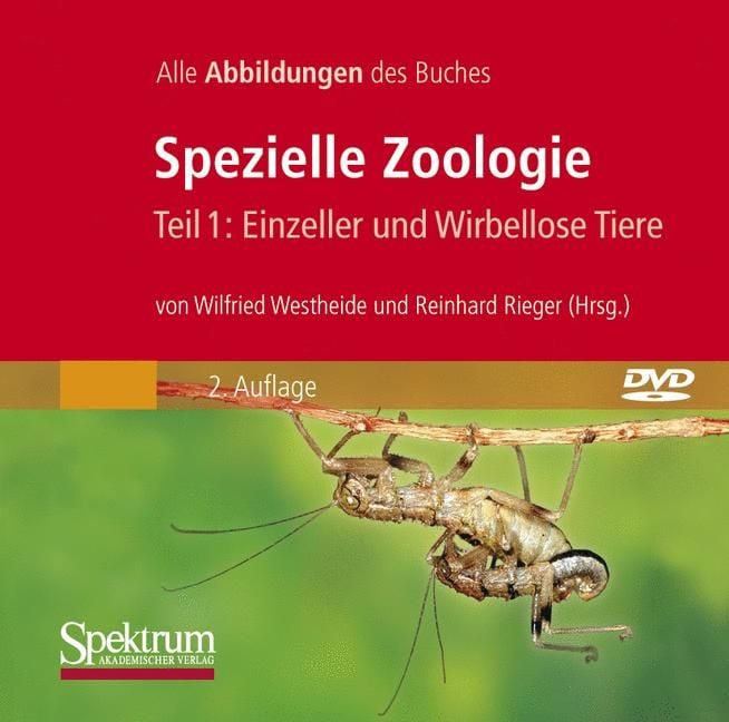 Produktbild: Spezielle Zoologie. Teil 1 /2. Paket. Teil 1: Einzeller und Wirbellose... / Bild-DVD, Spezielle Zoologie, Teil 1: Einzeller und Wirbellose Tiere
