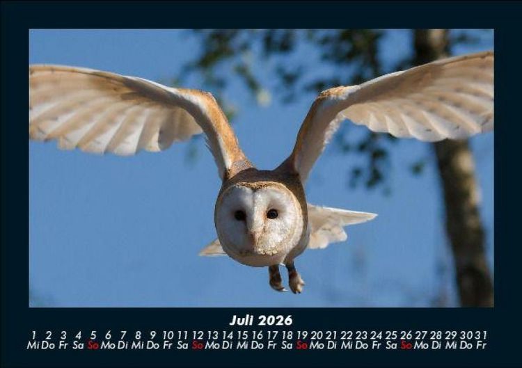 Produktbild: Welt der V&ouml;gel 2026 Fotokalender DIN A5