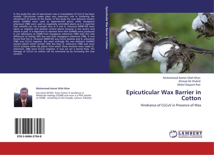 Produktbild: Epicuticular Wax Barrier in Cotton