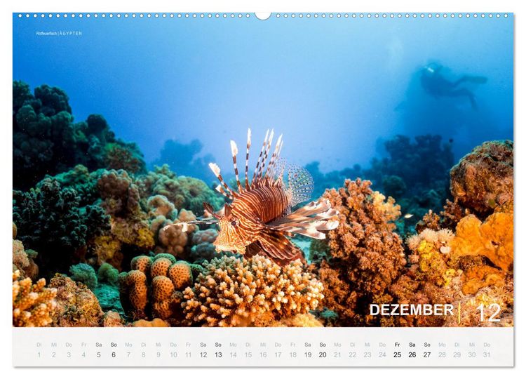 Produktbild: Einfach Tauchen - Wunderbare Tauchpl&auml;tze und Korallenriffe (Wandkalender 2026 DIN A2 quer), CALVENDO Monatskalender