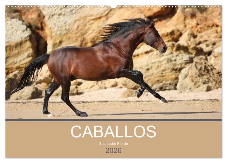 Produktbild: Caballos Spanische Pferde 2026 (Wandkalender 2026 DIN A2 quer), CALVENDO Monatskalender