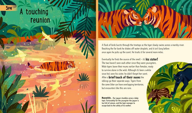 Produktbild: Big Cats (A Day in the Life)