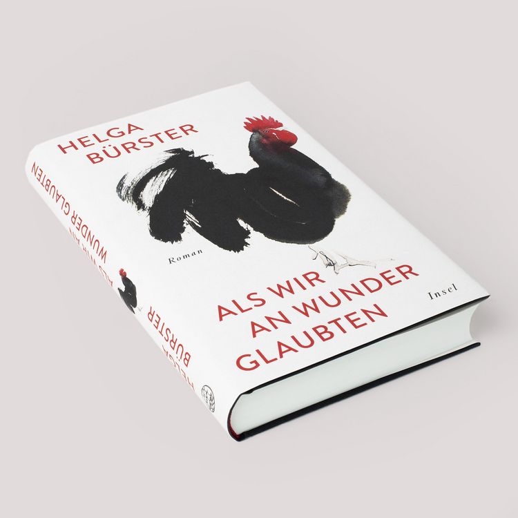 Produktbild: Als wir an Wunder glaubten