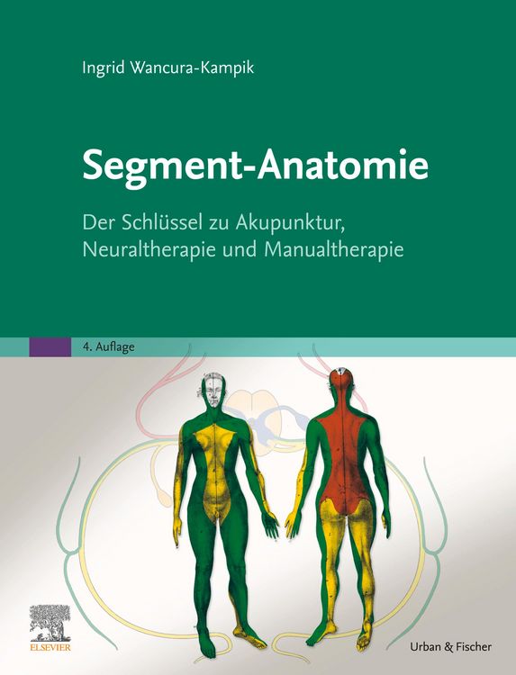 Produktbild: Segment-Anatomie