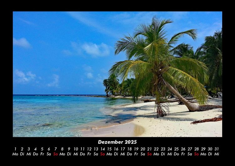 Produktbild: Palmentraum 2025 Fotokalender DIN A3