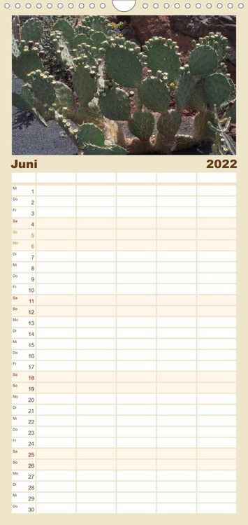 Produktbild: Familienplaner Faszination Kakteen (Wandkalender 2022 , 21 cm x 45 cm, hoch)